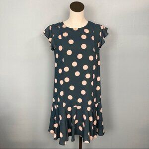 𝅺loft Polka Dot Flounce Dress Petrol Gray and Blush